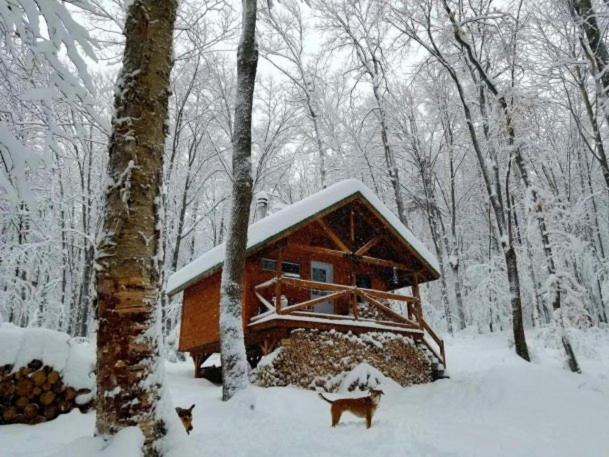 Les Cabines Nordik 2.0 ชาวินิแกน ภายนอก รูปภาพ
